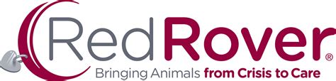 red rover charity|red rover veterinary assistance.